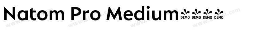 Natom Pro Medium字体转换